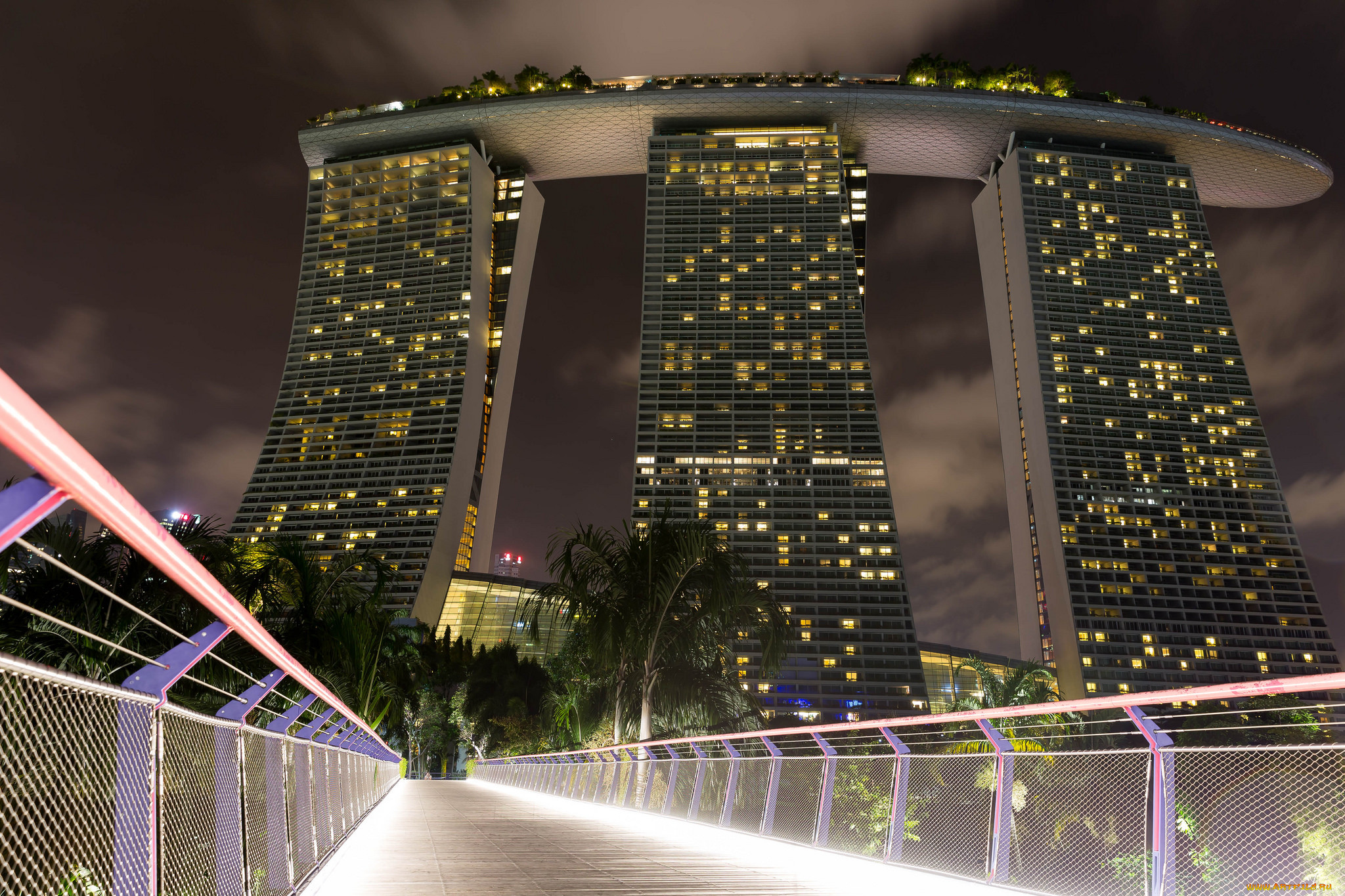 ,  , , , , singapore, night, lights